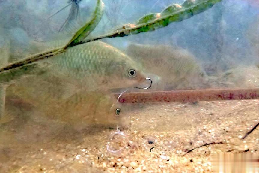 是你犯了这 是你犯了这